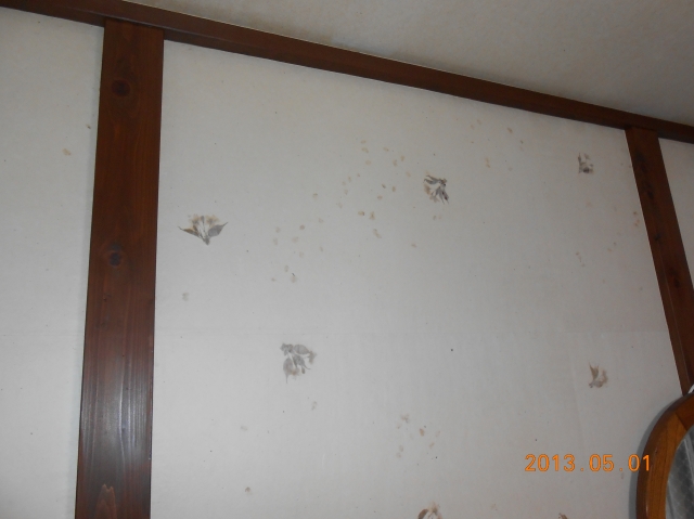 和紙クロス　クロス張替　藤沢リフォーム　辻堂リフォーム　　高野太閤堂